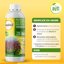 SOLABIOL Olio Bianco Vegetale di Soia Concentrato - Biologico - Difesa Piante contro Afidi e Cocciniglia - 1 LT 4