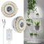 SANSI Lampada LED per Orticoltura Spettro Completo 10W con Timer e Dimmerabile 1