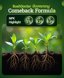 FoxFarm Bush Doctor Boomerang Liquid Plant Fertilizer - 2-0.2-0.3 Microbial Root Support & Stress Recovery Formula - 1 Gallon 2