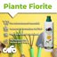 CIFO Concime Liquido Piante Fiorite 1L - Fertilizzante per Fiori in Casa, Terrazzo e Balcone - Stimola Fioritura Abbondante e Colori Brillanti - Made in Italy 2