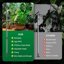 SANSI T10 Standing Full Spectrum Grow Light - 55W Vertical LED Plant Lamp with 5-Level Dimming and Timer 6