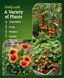FoxFarm Bush Doctor Kelp Me Kelp You Liquid Seaweed Fertilizer - Organic Kelp Plant Food for Gardens, Hydroponics & Drip Irrigation - 1 Quart 5