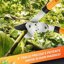 GRÜNTEK Troncarami Professionale 78cm - Cesoie Potatura con Doppia Ghiera Moltiplicatore di Forza - Taglio Bypass Max 51mm per Rami in Altezza 7