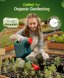 FoxFarm Happy Frog Acid Loving Plant Fertilizer - Slow Release Organic Soil Amendment with Mycorrhizal Fungi & Microbes for Azaleas, Rhododendrons, Blueberries & Hydrangeas - 4 lb 4
