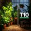SANSI T10 Standing Full Spectrum Grow Light, 80W Vertical LED Plant Lamp with 144 LEDs, 4000K Adjustable Height & 5-Level Dimming for Indoor Plants 8