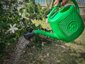 Ecoplast Annaffiatoio da Giardino 12 Litri in Plastica Riciclabile - Verde 4