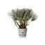 Elho Greenville Round 40 Vaso con serbatoio idrico integrato per Interno/esterno, Plastica Riciclata Ø 39.0 x H 36.8 cm - Grigio/Living Concrete 3
