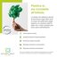 Ecoplast Annaffiatoio da Giardino 12 Litri in Plastica Riciclabile - Verde 5
