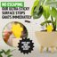 Super Ninja Fungus Gnat Traps - 30 Pack Yellow Sticky Traps for Indoor Plants, Non-Toxic Pest Control for Whiteflies and Aphids, Long Lasting & Water Resistant 2