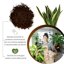 GebEarth Terriccio Universale Protein Base 5L - Concime Organico a Rilascio Lento con Aminoacidi, Acidi Umici e Fulvici per Piante in Vaso 2