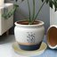 Bleuhome 2 Pack Plant Saucers 17 Inch - Heavy Duty Plastic Flower Pot Drip Trays & Bird Bath Bowls, Deep Drainage Trays for Indoor and Outdoor Planters, Beige 7