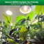 SANSI Full Spectrum LED Grow Light Bulb 10W - 150W Equivalent with Optical Lens & COC Technology, 4000K Natural Daylight for Indoor Plants and Seed Starting 2