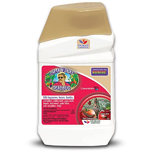 Bonide Captain Jack's Deadbug Brew 16 oz Concentrate - Organic Insecticide & Mite Killer for Garden and Lawn