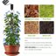 Kit 6 Bastoncini di Muschio in Plastica per Monstera - Supporto Autoirrigante con Asta a Forma di D e Accessori 3