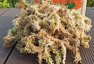 Yilotuce 1.1 lb Compressed Sphagnum Moss - Premium Clean Substrate for Orchids, Ferns, and Terrariums 2