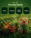 FoxFarm Grow Big Liquid Plant Food 6-4-4 Fertilizer - Concentrated Gallon for Lush Vegetative Growth, Roses, Tomatoes & Vegetables - Indoor Houseplants & Outdoor Garden Nutrient Boost 5