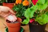 R&R SHOP Perlite Espansa Media PH Neutro per Giardinaggio e Idroponica - 10 Litri 2