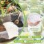 Legigo 26 Quarts Organic Horticultural Perlite - Natural Soil Additive for Drainage, Aeration and Root Growth 2