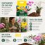Vigorplant Terriccio Orchidee Professionale 10L - Substrato con Corteccia di Pino, Fibra di Cocco e Torba Baltica - Miscela Aerata e Drenante per Orchidee Epifite e Terrestri 9