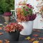 Lechuza Classico Color 28 Slate Matte Self-Watering Round Planter 11" 6