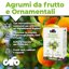 CIFO Concime Agrumi 600g - Fertilizzante Completo NPK per Limoni, Aranci, Mandarini e Pompelmo - Favorisce Fioritura e Frutti Sani - Made in Italy 2