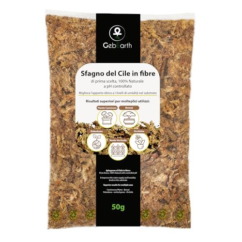 GebEarth Sfagno Cileno 50g