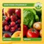 Solabiol Algasan Concime Liquido Antistress 1L - Bio Stimolatore con Alghe Brune e Lievito per Orto e Giardino - Rinforza Radici e Aumenta Raccolto 6
