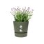 Elho Greenville Round 18 Vaso con serbatoio idrico integrato per Interno/esterno, Plastica Riciclata Ø 18.3 x H 17.4 cm - Verde/Leaf Green 3