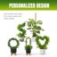 Mcbazel Tuteur en Mousse pour Monstera 150 cm - Treillis Flexible en Fibre de Coco avec Noyau en Aluminium et Accessoires 3