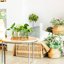 Plant Propagation Station with Wooden Stand, 10 Borosilicate Glass Test Tube Vases for Hydroponics and Indoor Plant Cuttings 4