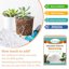 Legigo 15 Quarts Organic Horticultural Perlite - Natural Soil Additive for Drainage, Aeration and Root Growth 5