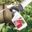 Bonide Captain Jack's Thuricide BT - Organic Caterpillar & Worm Control 32 oz Ready-to-Use Spray 7