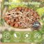 Legigo 19 LBS Organic Leca Clay Pebbles, 4mm-16mm Natural Hydroton Balls for Hydroponics, Aquaponics, Orchids and Indoor Plants 2
