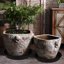 Bleuhome 2 Pack Large Deep Plant Saucers - 19 Inch Heavy Duty Plastic Flower Pot Drainage Trays for Indoor & Outdoor Use 4