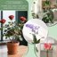SupKing 16Pcs Invisible Orchid Support Sticks - Adjustable Fiberglass Plant Stakes with Clips for Small Plants, Flowers, Peonies and Roses (Brown) 5