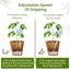 PlanKKers Iridescent Glass Self Watering Globes - Rainbow Plant Watering Bulbs for Indoor Plants (Medium, 2 Pack) 5