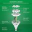 SANSI 24W Lampadina LED per Piante E27 Spettro Completo 4000K - Luce Diurna per Coltivazione Indoor e Ortaggi 4