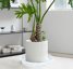 Bleuhome 2 Pack 17 Inch Plant Saucers - Heavy Duty Deep Plastic Flower Pot Drip Trays & Bird Bath Bowls 3