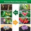SANSI LED Grow Lights for Indoor Plants - Full Spectrum Clip-on Gooseneck with Ceramic Technology 6