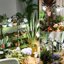 SANSI Lampada LED per Piante 120W con Treppiede e 4 Lampadine E27 Rimovibili, Spettro Completo Full Spectrum per Coltivazione Indoor, Collo d'Oca 360° e Stelo Regolabile 40-110cm 9