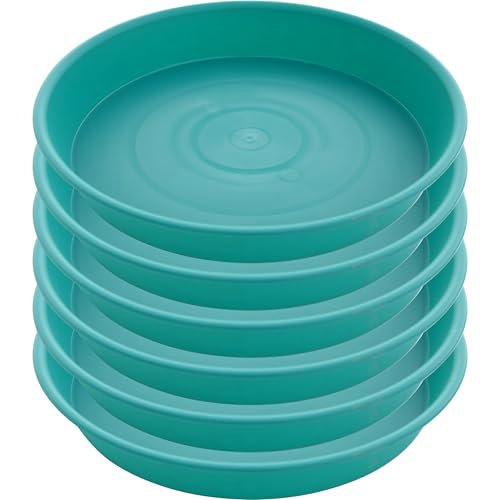 Bleuhome 6-Pack 6" Plant Saucers (Teal)