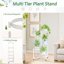 iDavosic.ly 5-Tier Corner Plant Stand with Drainage, Metal Indoor Outdoor Flower Display Shelf, Folding Wrought Iron Orchid Rack for Patio Balcony and Garden - White 4