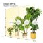 SANSI T10 Standing Full Spectrum Grow Light - 55W Vertical LED Plant Lamp with 5-Level Dimming and Timer 4