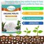 Legigo 2 Quarts Organic Horticultural Perlite - Natural Soil Additive for Drainage, Aeration and Root Growth 2