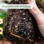 HAINANSTRY Organic Perlite for Plants, Enhances Soil Drainage and Aeration, 4QT 3