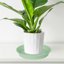 Bleuhome 6 Pack 10 Inch Plant Saucers - Heavy Duty Plastic Round Drip Trays for Indoor & Outdoor Flower Pots 5