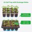 Bonviee 5-Pack Seed Starter Tray Kits with Adjustable Humidity Domes and Black Bases - Indoor Mini Greenhouse Propagator for Seeds 7