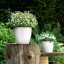 Lechuza Classico Color 28 White Self-Watering Round Planter 11" 6