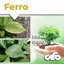 CIFO Ferro Chelato per Piante 100ml - Integratore Bio contro l'Ingiallimento Fogliare - Correttore Carenza Ferro per Orto, Giardino, Fiori e Frutti - Made in Italy 5