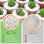 Legigo 10 Quarts Organic Horticultural Perlite - Natural Soil Additive for Drainage, Aeration and Root Growth 3